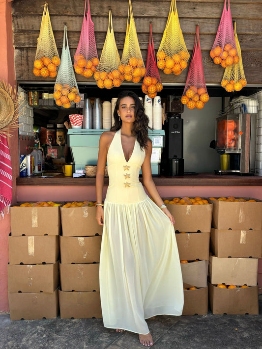 Women's Wedding Guest Halter Plunge Maxi Dress - product image 1