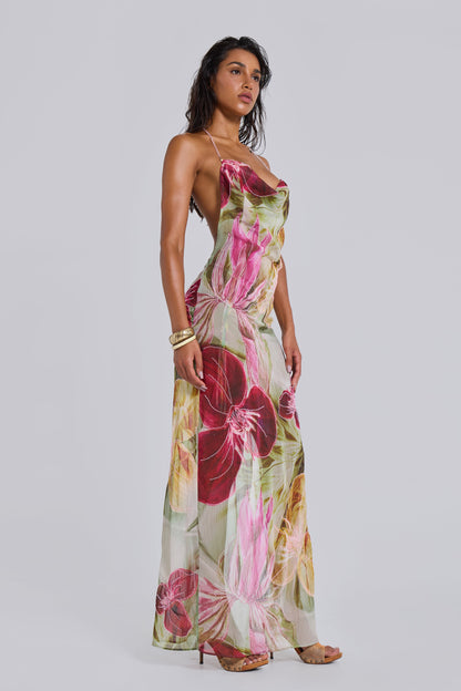 Nika Backless Chiffon Halter Maxi Dress - Blush and Sage Floral