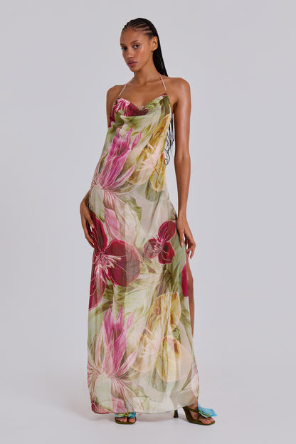 Nika Backless Chiffon Halter Maxi Dress - Blush and Sage Floral