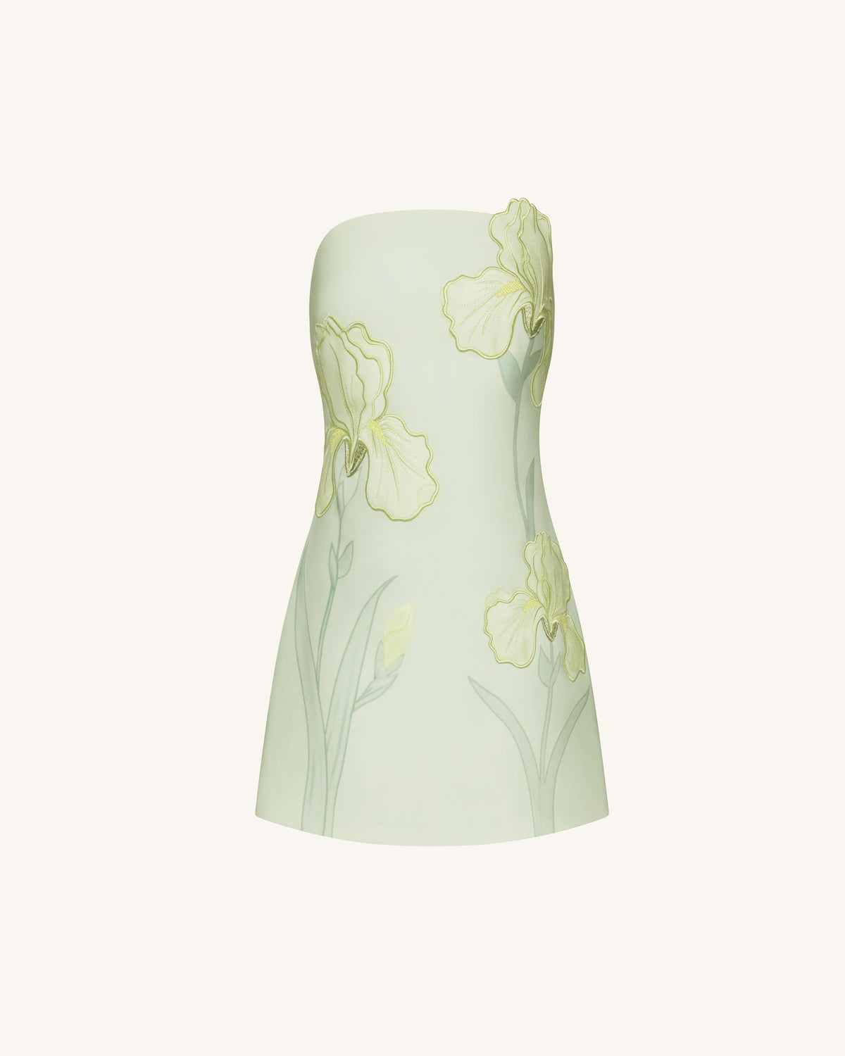 Ninon Strapless Mini Dress - Mint Floral