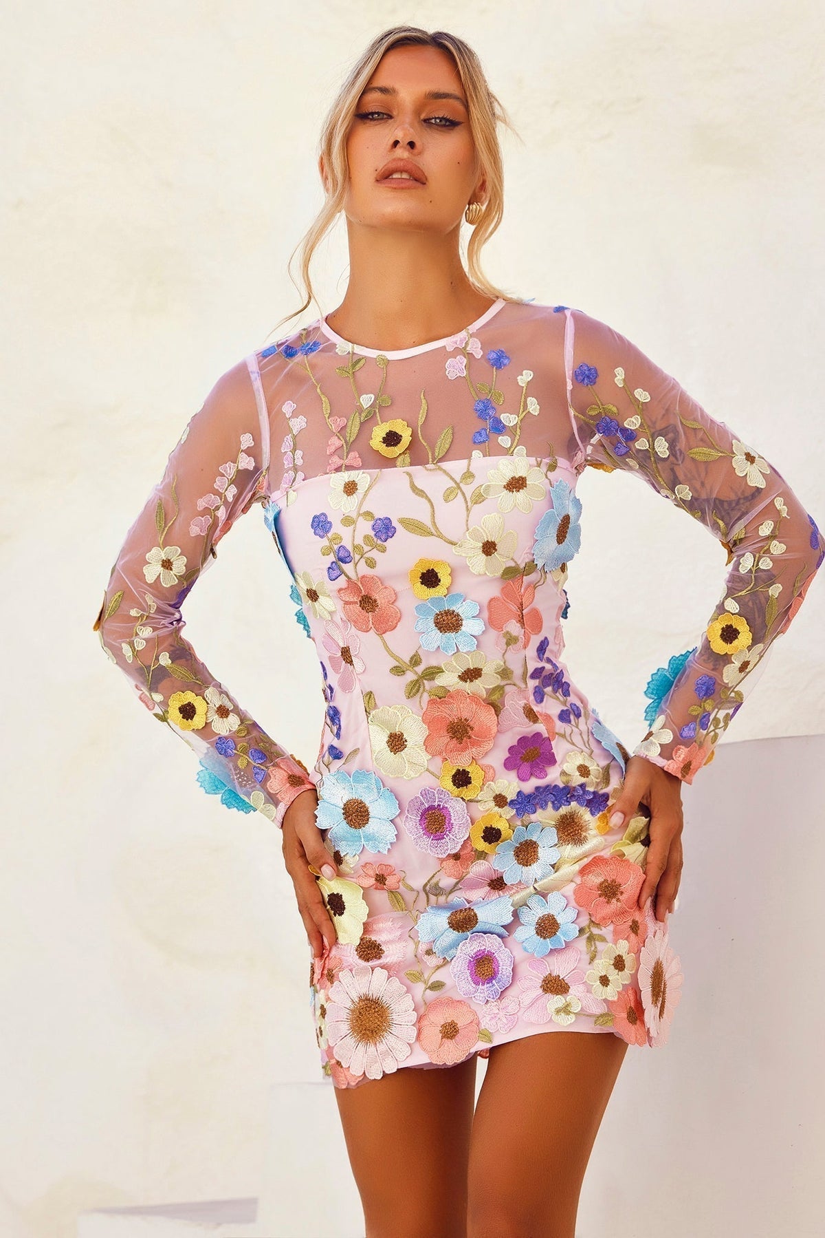 Noreen Floral Applique Mini Dress - Blush Floral