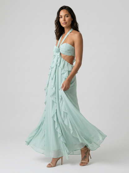 Dahlia Floral Backless Maxi Dress